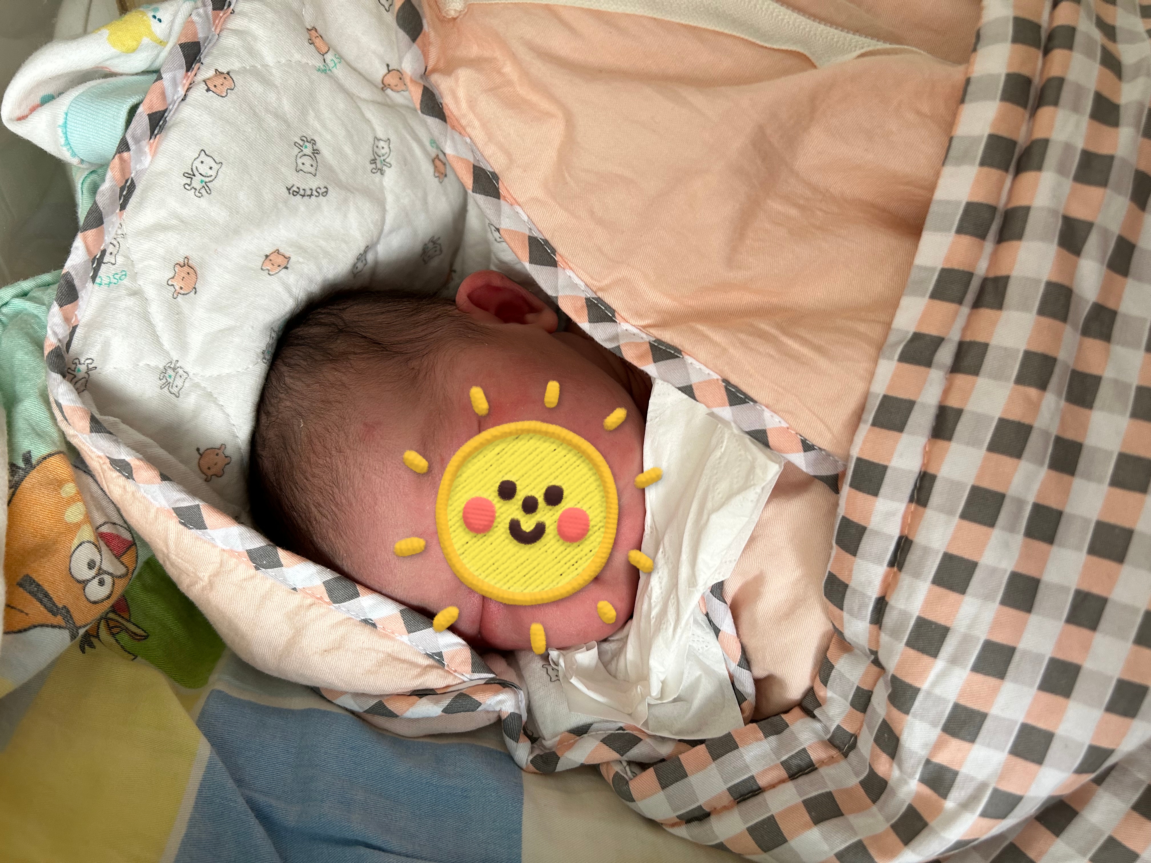 1703583248933224.jpg 1703583248933224.jpg